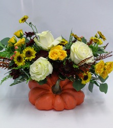 Hooray For Fall! from Arjuna Florist in Brockport, NY