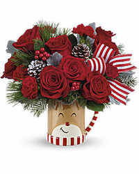  Teleflora's Send A Hug Reindeer Wish Bouquet from Arjuna Florist in Brockport, NY